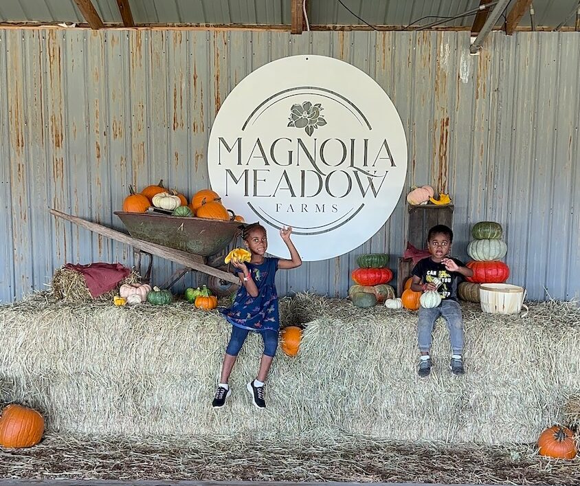 22 Fall Harvest Farms to Visit in Maryland This Year