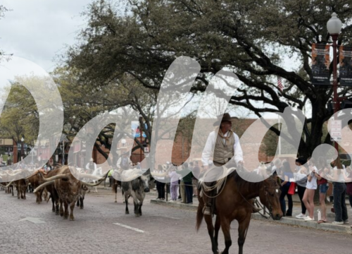 10 Things You MUST Do In The Dallas Area