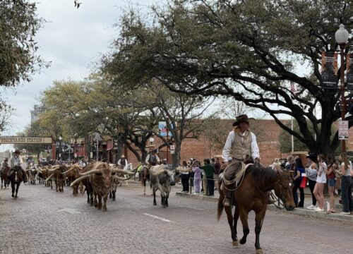 10 Things You HAVE to Try When You Visit the Dallas Area (An Honest Review)